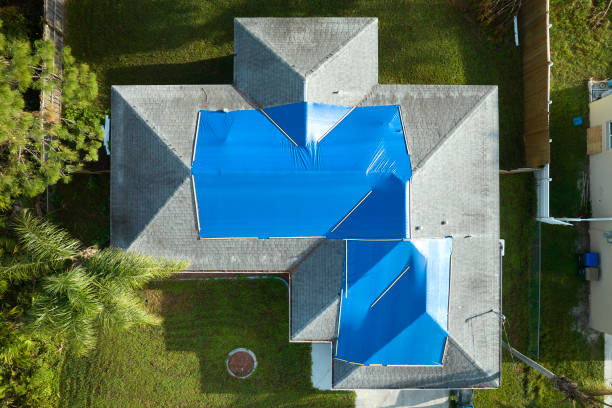 Waterproofing in Las Lomas, TX