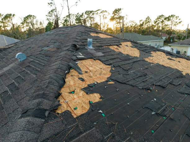 Best Storm Damage Roof Repair  in Las Lomas, TX