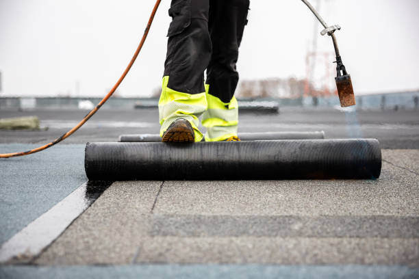 Best Roof Insulation Installation  in Las Lomas, TX