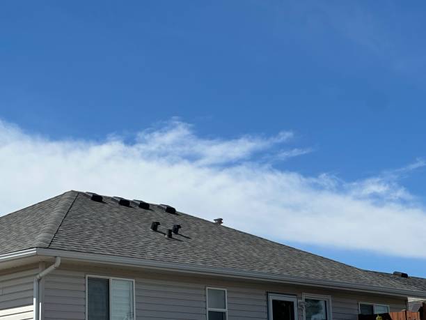 Best Tile Roofing Installation  in Las Lomas, TX